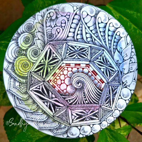 Raindrops, Routines & Tangle Time