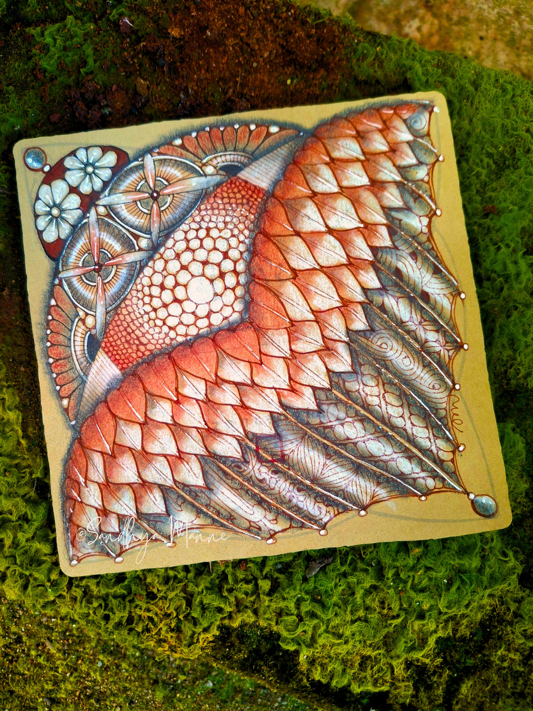 Day 06 – A Flight of Imagination