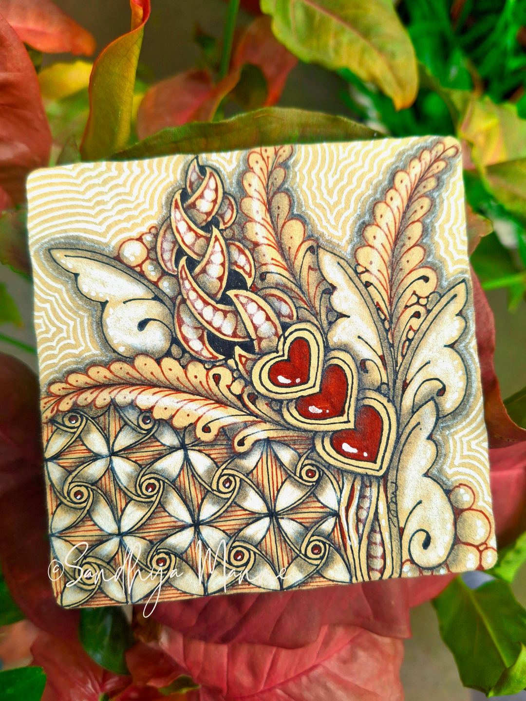 Flavours of Ugadi, Patterns of Life