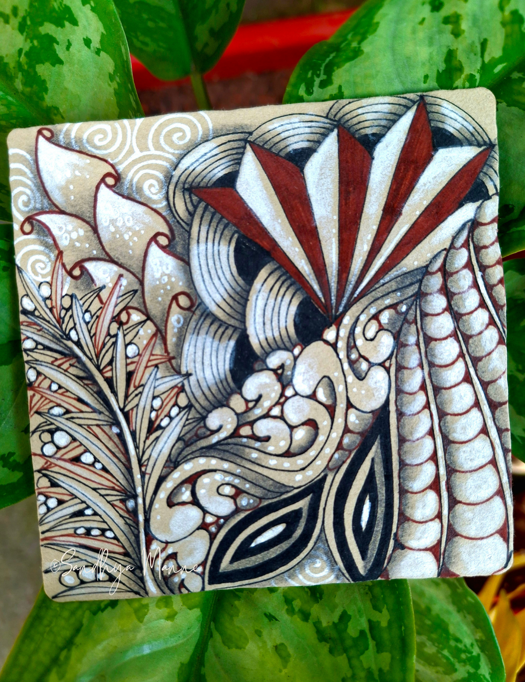 Familiar Tangles Feel New Again