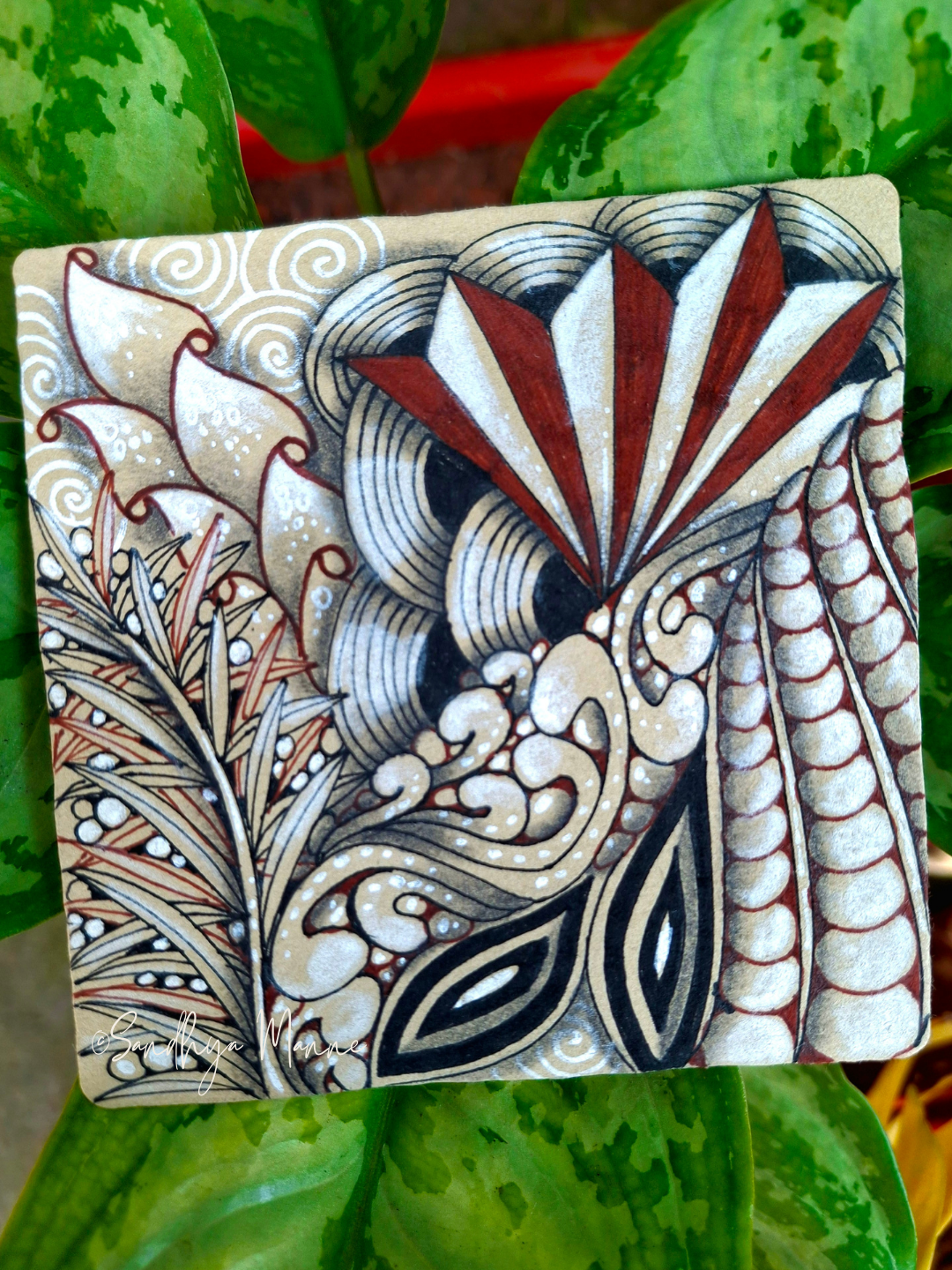 Familiar Tangles Feel New Again