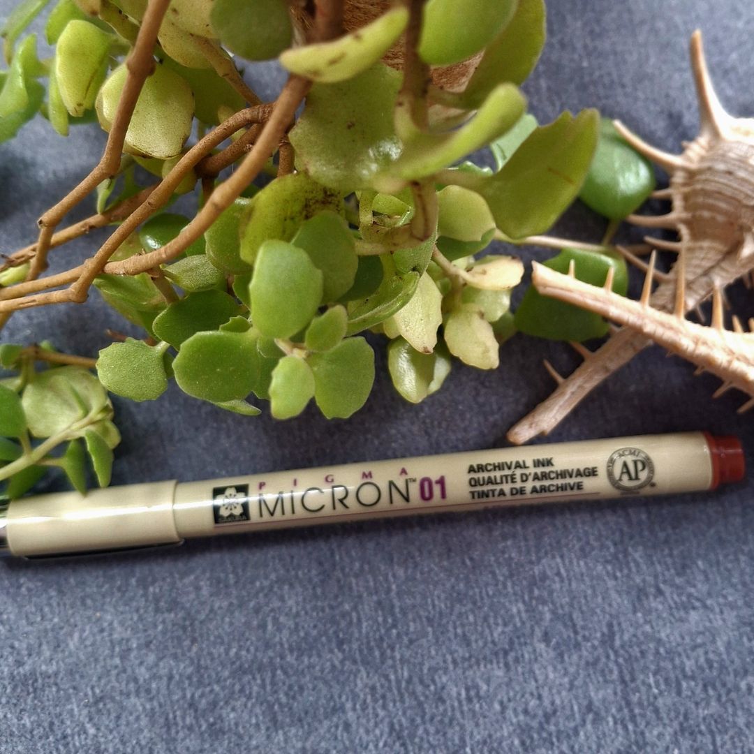 Micron-01-brown-pen-tangle-supplies-zentangle-sandhyamannestudio-ecr-chennai.jpg